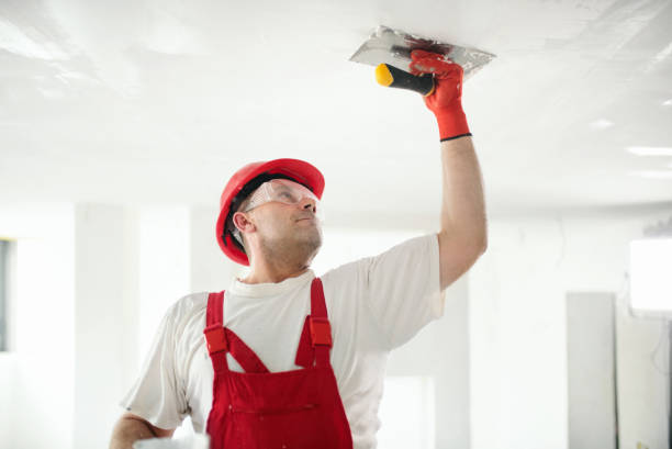 Best Mold Damage Restoration  in Madison Park, NJ